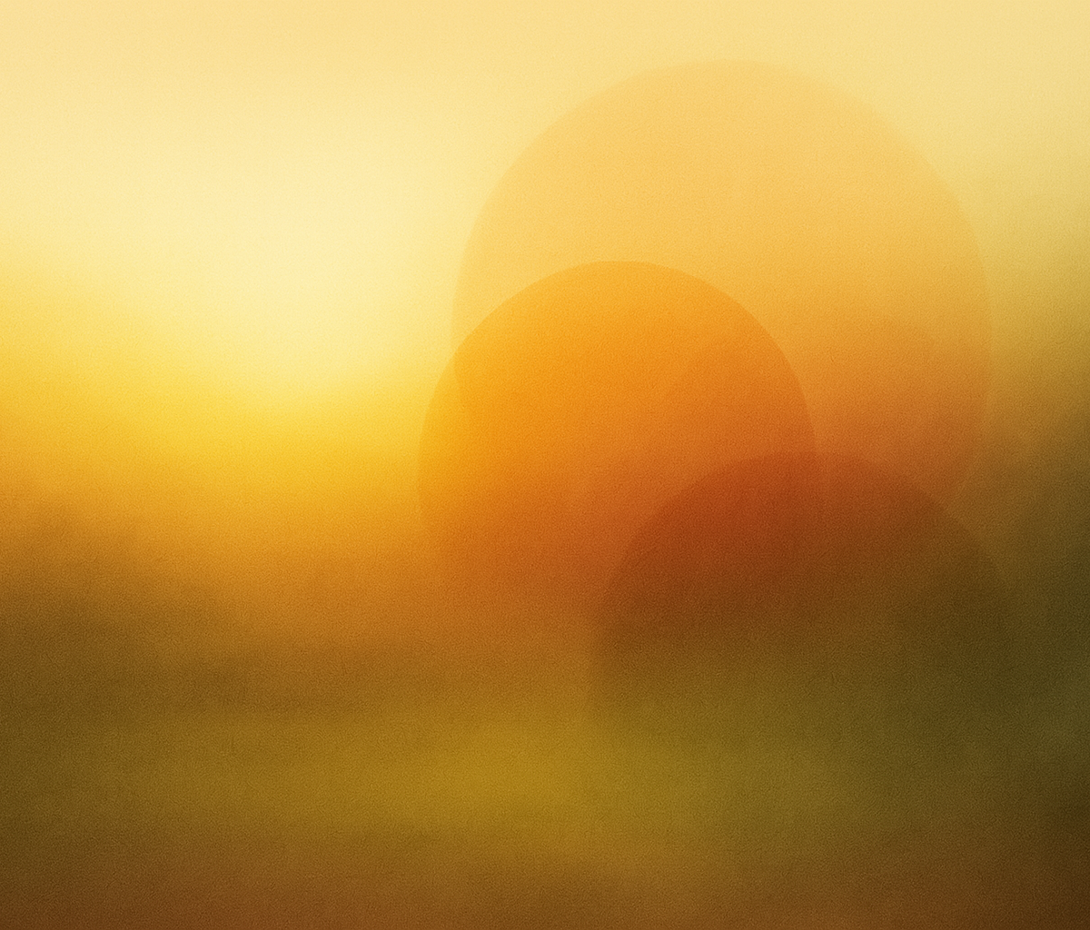 familieinzicht_header1