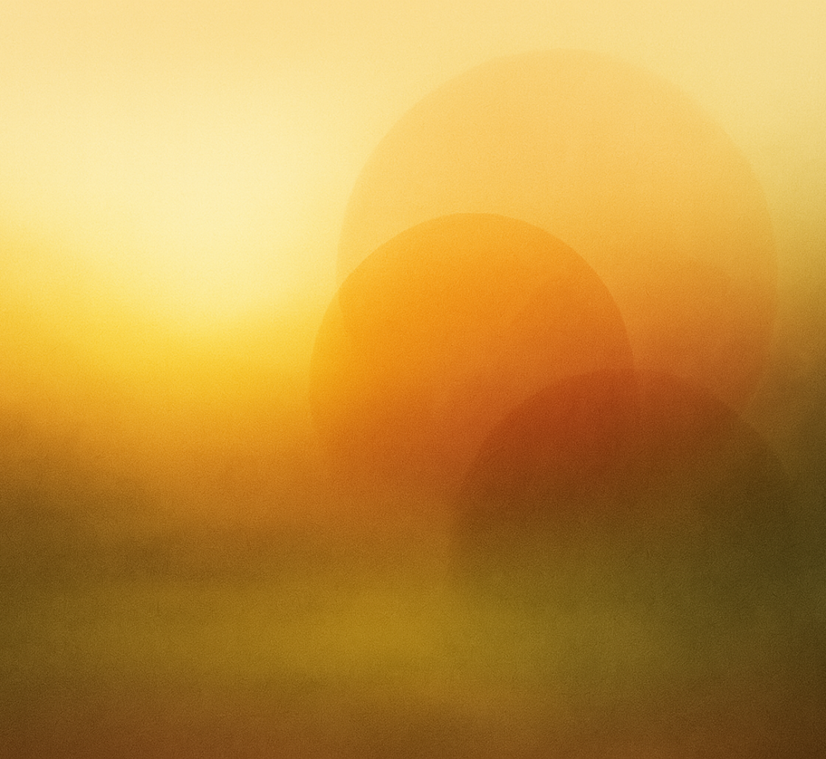 familieinzicht_header1 familieinzicht_header1